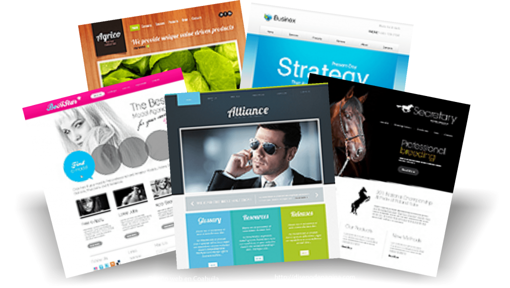 Diseño web en Coahuila