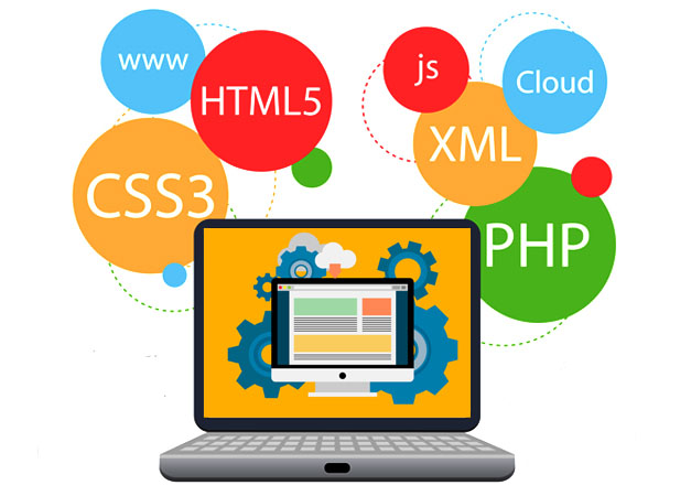 Desarrollo web en Guerrero