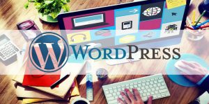 Crear Página Web en Tijuana